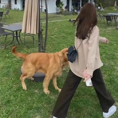 圣东尼的诱惑